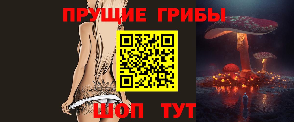 Псилоцибиновые грибы GOLDEN TEACHER  Вход с VPN  Псилоцибиновые грибы Psilocybe  Камень-на-Оби 